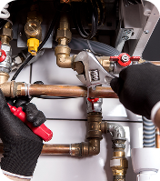 Walsh Solutions Group